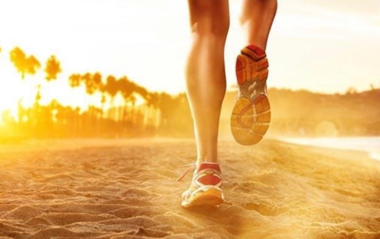 Séance du jeudi 19 février 2026