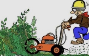 Nettoyage des chemins Ti’Trai